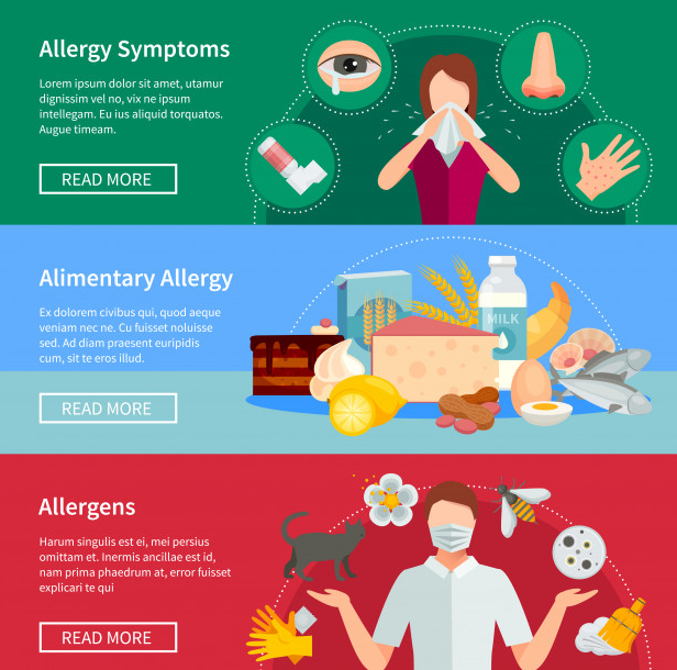 Things To Know If You Suffer From Food Allergies