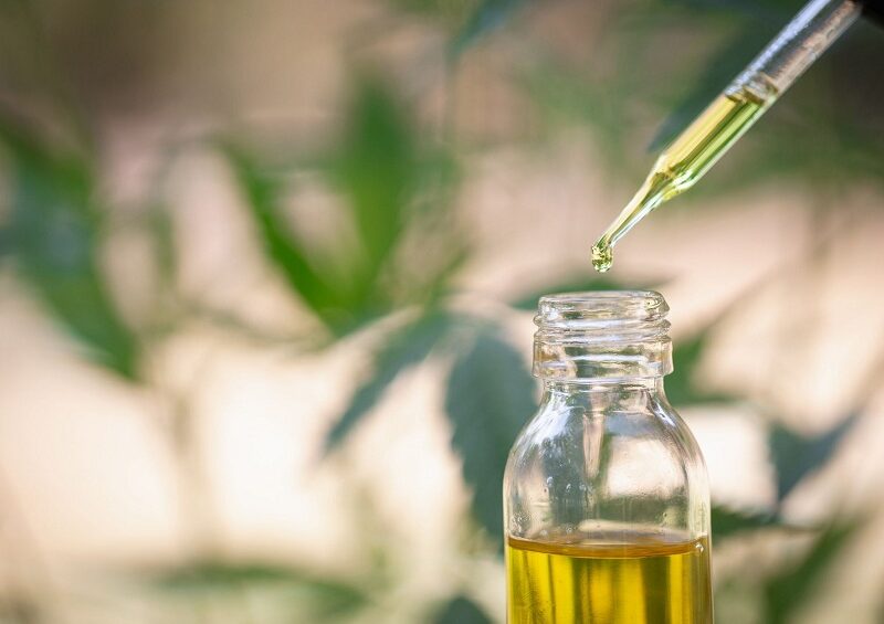 CBD oil can treat glaucoma but how?