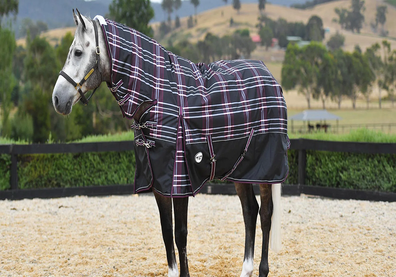 Tips  on how to choose the best saddle rugs for your horse