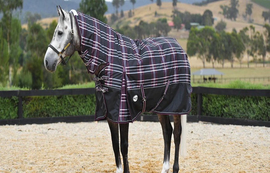 best saddle rugs for your horse