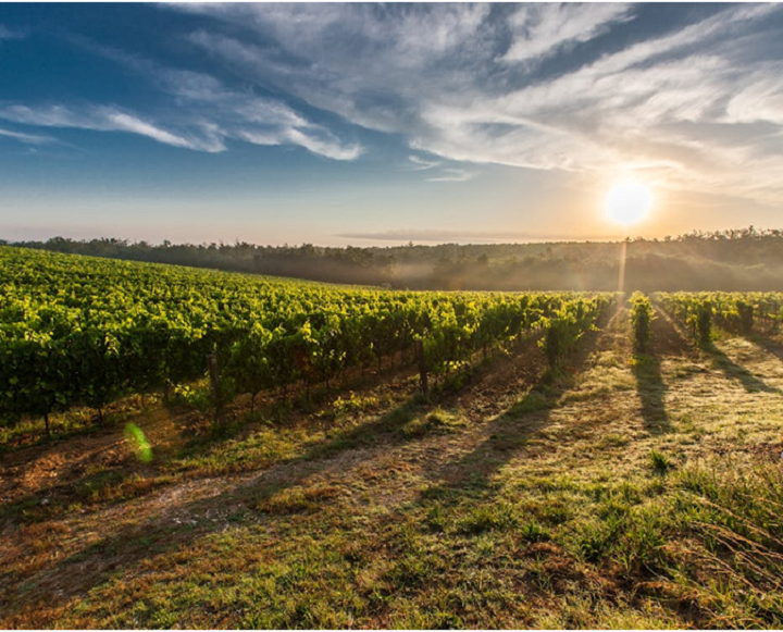 Factors to Consider When Choosing Engineering Plastics for the Agriculture Industry