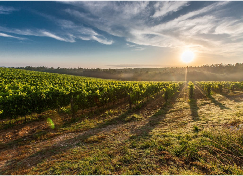 Factors to Consider When Choosing Engineering Plastics for the Agriculture Industry