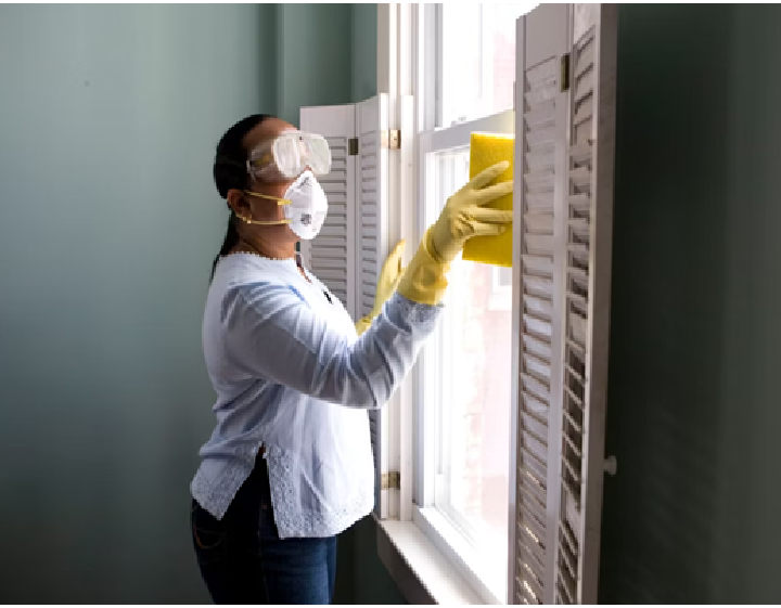 Finding the Perfect Clean: How to Choose the Best Professionals for Residential Cleaning