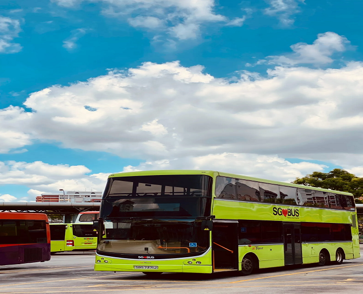 The Ideal Travel Option for Seniors, Students, and Everyone in Between