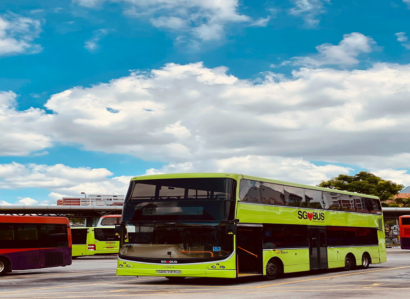 The Ideal Travel Option for Seniors, Students, and Everyone in Between